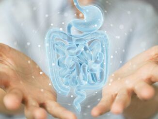 Rejuvenecer con salud, el secreto milenario escondido en la microbiota