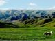 Mongolia Interior acelera el desarrollo de la industria del hidrógeno verde